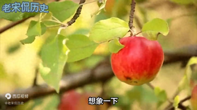 中国古代水果（中国水果与历史文化）
