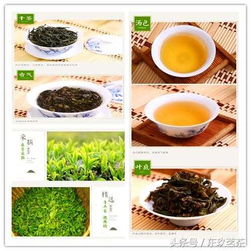 绿茶品种及功效（茶叶的功效有哪些）