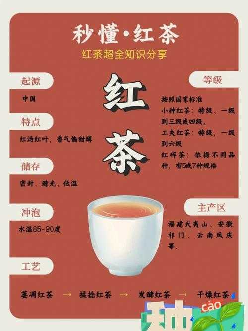 红茶类属于什么茶（什么茶算是红茶）
