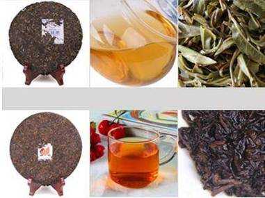老茶和生茶的区别（普洱茶生茶好还是熟茶好）