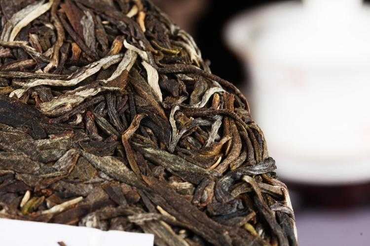 普洱茶存储条件（存放20年的普洱茶价值）